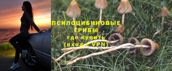 mdpv Верхний Тагил