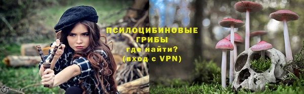индика Верхнеуральск