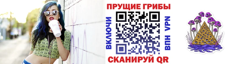 Псилоцибиновые грибы MAGIC MUSHROOMS  наркота  Зубцов 