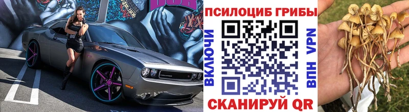 Псилоцибиновые грибы Magic Shrooms Зубцов